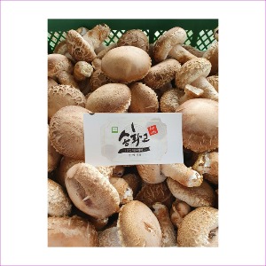 무농약 송화버섯 1kg